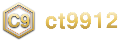 ct9912 โลโก้